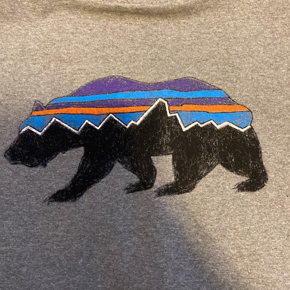 Patagonia Fitz Bear Uprisal Hoody - Picture 3 of 5